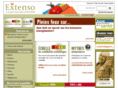 extenso.org