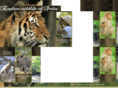 wildlife-india.net