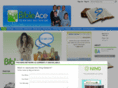 bibleace.com
