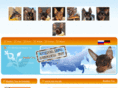 rus-toy.de