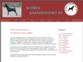 skpin.com