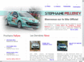 stephane-pellerey.com