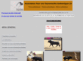 toro-authentique.com