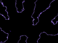 ruta13.com