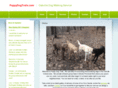 puppydogtrails.com