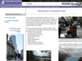 accessible-chile.com
