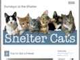 shelter-cats.com