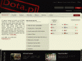 dota.pl