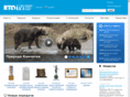 rtgtv.ru