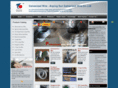 ironwires.com
