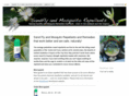 sandfly-mosquito-remedies.com