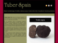 tuberspain.com