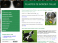 filhotesbordercollie.com