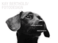 kayberthold.com