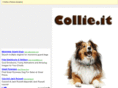 collie.it