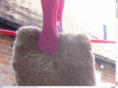daddybear.co.uk