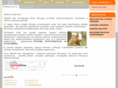 menhirgroup.com