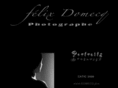 felix-domecq.net