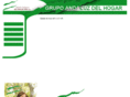 grupoandaluz.es