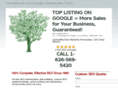 whitewaterseo.com