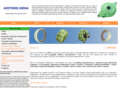 airtorq.com
