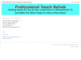professionaltouchrehab.com
