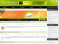 magentix.fr