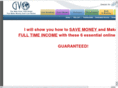 gvohomebusiness.com
