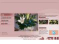 millefioririeti.com