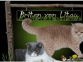 bkh-von-litau.com