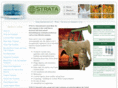 stratainternational.com