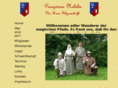 peregrinus-nobilis.com