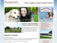 rosetown.co.uk