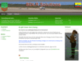 bdlr-solutions.com