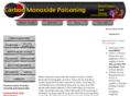 carbonmonoxide-poisoning.com