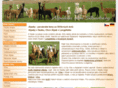 alpaca-stud.eu