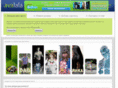 avalala.com