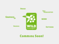 wild-hummingbird.com